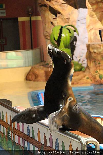 2013.08.07 022.jpg 2013.08.07 022.jpg