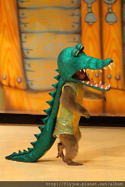 2013.08.07 024.jpg 2013.08.07 024.jpg