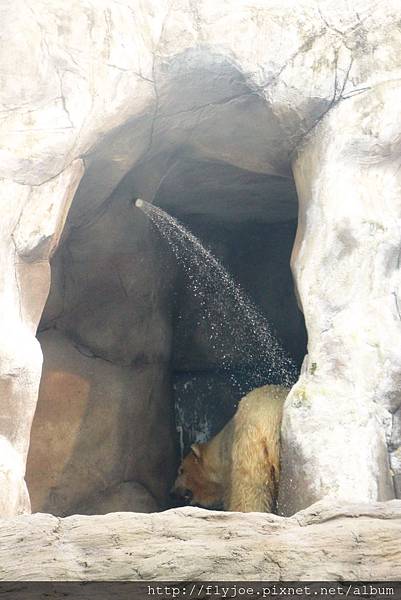 2013.08.07 027.jpg 2013.08.07 027.jpg