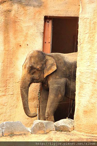 2013.08.07 028.jpg 2013.08.07 028.jpg