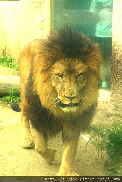 2013.08.07 029.jpg 2013.08.07 029.jpg