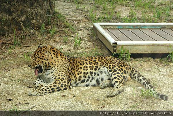 2013.08.07 033.jpg 2013.08.07 033.jpg