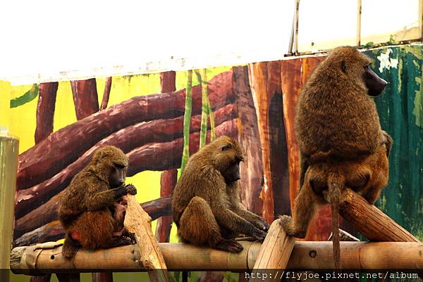 2013.08.07 034.jpg 2013.08.07 034.jpg