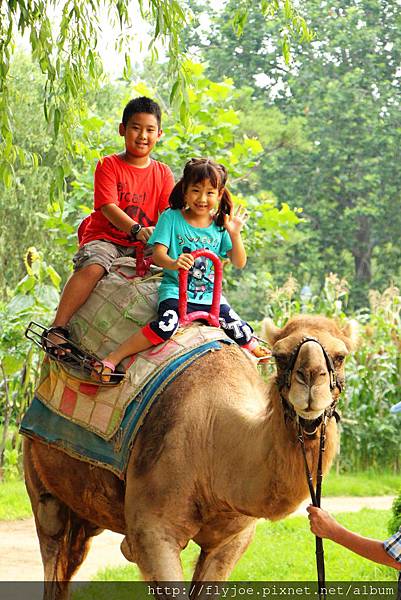 2013.08.07 035.jpg 2013.08.07 035.jpg