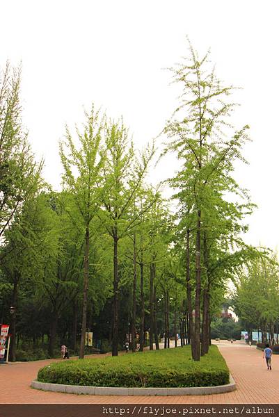 2013.08.07 043.jpg 2013.08.07 043.jpg