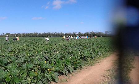 C360_2013-05-10-10-40-31-853 - 複製.jpg