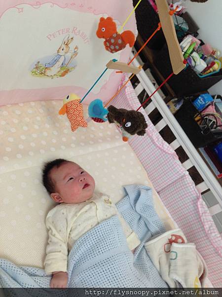 IMG_2027.JPG IMG_2027.JPG