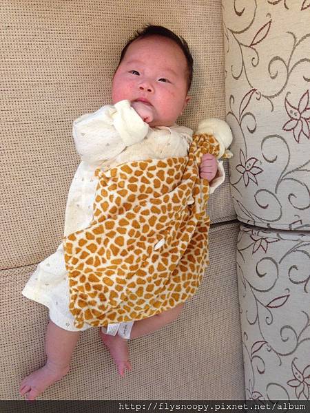 IMG_2035.JPG IMG_2035.JPG