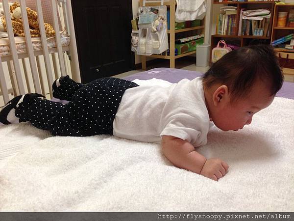 IMG_2227.JPG IMG_2227.JPG