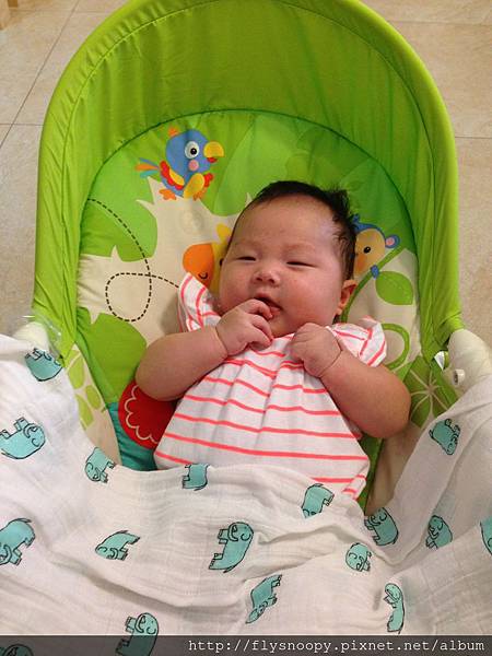 IMG_2260.JPG IMG_2260.JPG