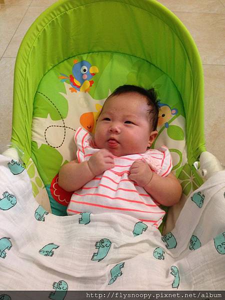 IMG_2261.JPG IMG_2261.JPG