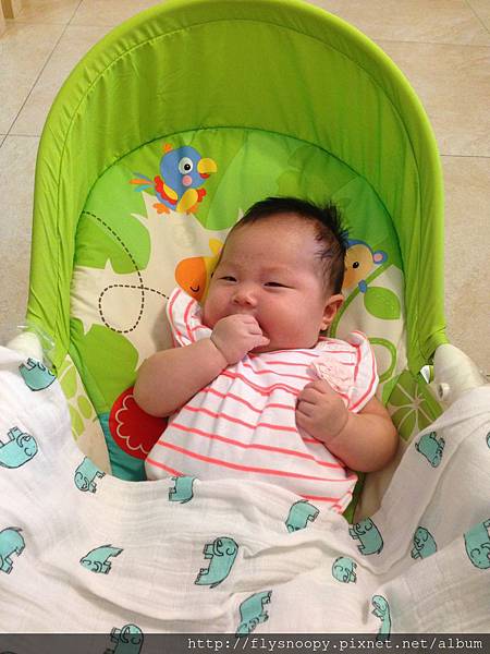 IMG_2262.JPG IMG_2262.JPG