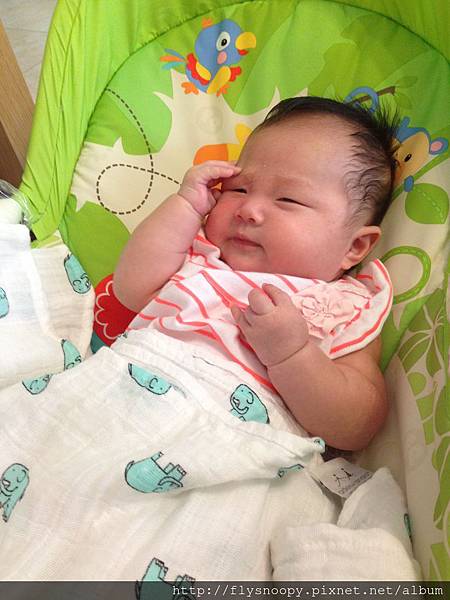 IMG_2371.JPG IMG_2371.JPG