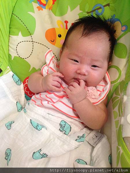 IMG_2377.JPG IMG_2377.JPG