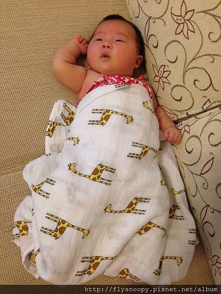 IMG_2712.JPG IMG_2712.JPG