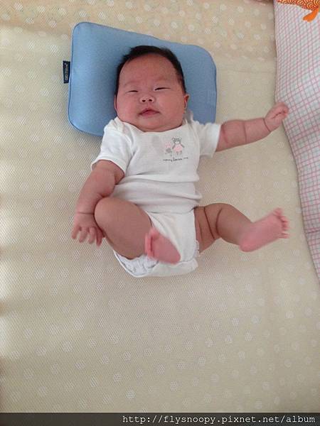 IMG_3165.JPG IMG_3165.JPG