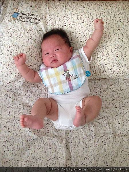 IMG_3339.JPG IMG_3339.JPG