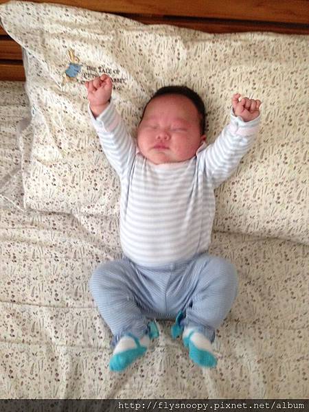 IMG_4013.JPG IMG_4013.JPG