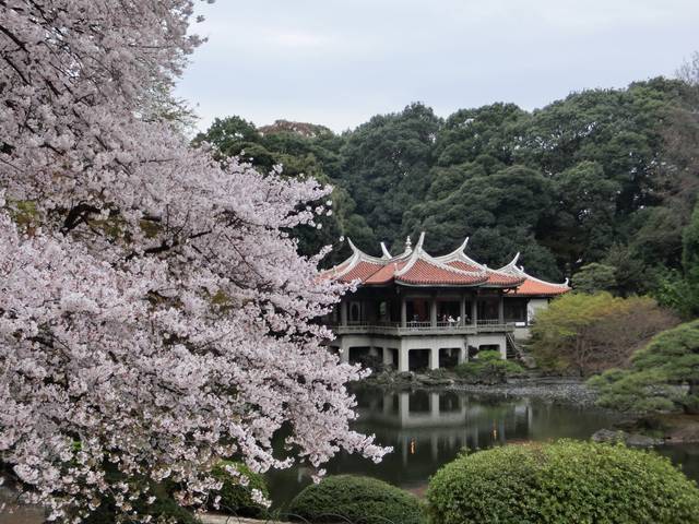 1285610988 1285610988