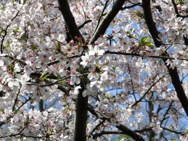 1285610895 1285610895