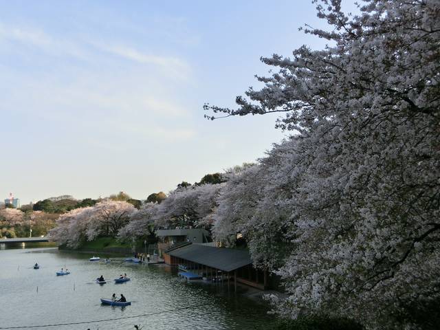 1285610947 1285610947