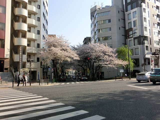 1285610940 1285610940