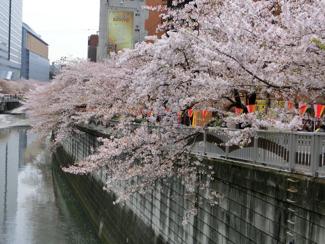 1285597346 1285597346