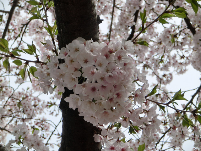 1285597353 1285597353