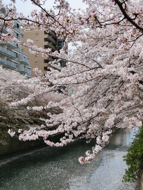 1285597361 1285597361