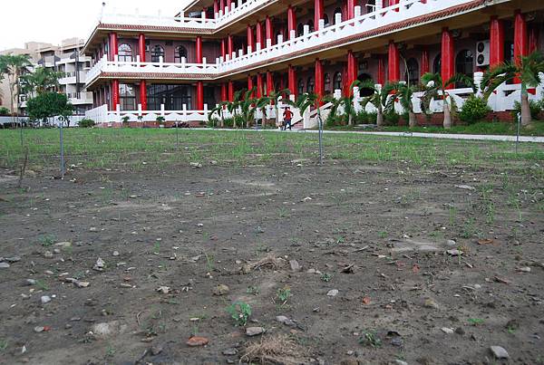 黑色、紅褐色夾沙陶片