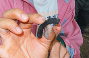 嘉義山仔頂遺址