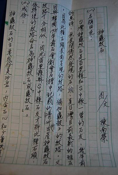 神龜紋石 神龜紋石