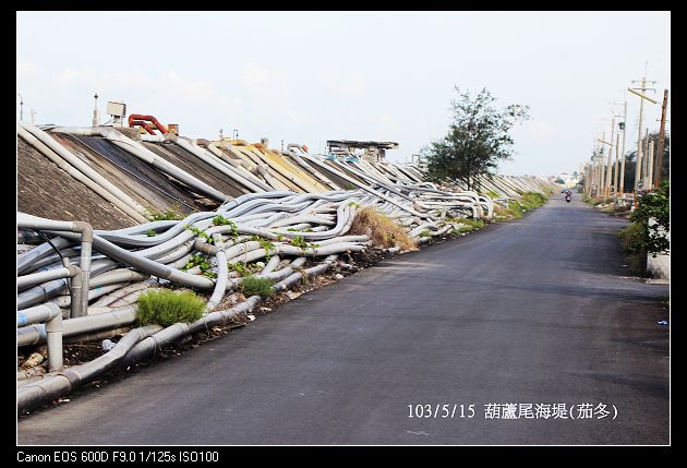 ãä½³å¬é¢å²¸å ¤ãçåçæå°çµæ