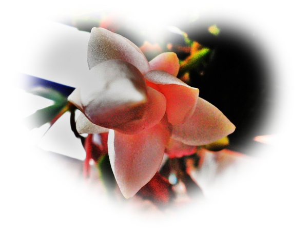 P1090369.JPG P1090369.JPG