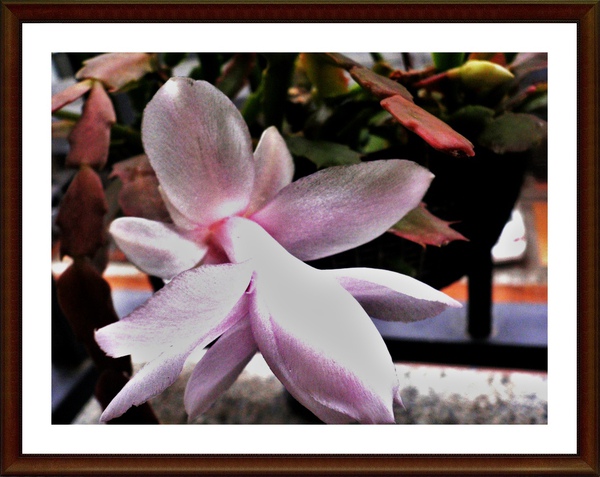 P1090422.JPG P1090422.JPG