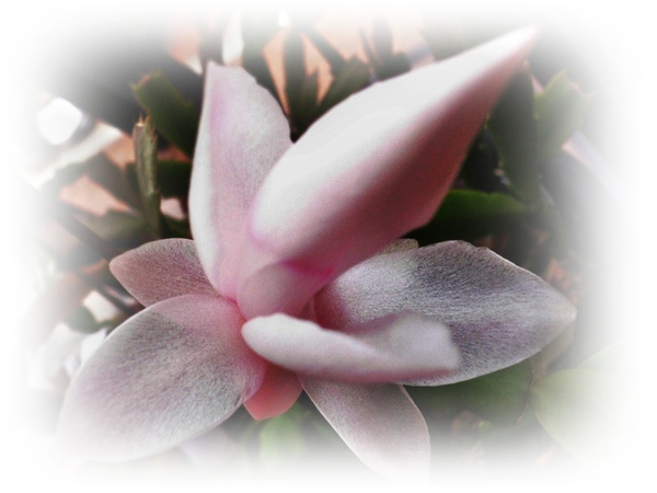 P1090461.JPG P1090461.JPG