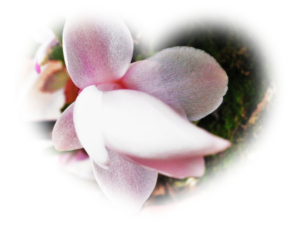 P1090462.JPG P1090462.JPG