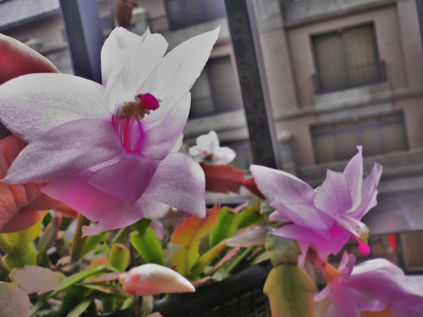 P1090542.JPG P1090542.JPG