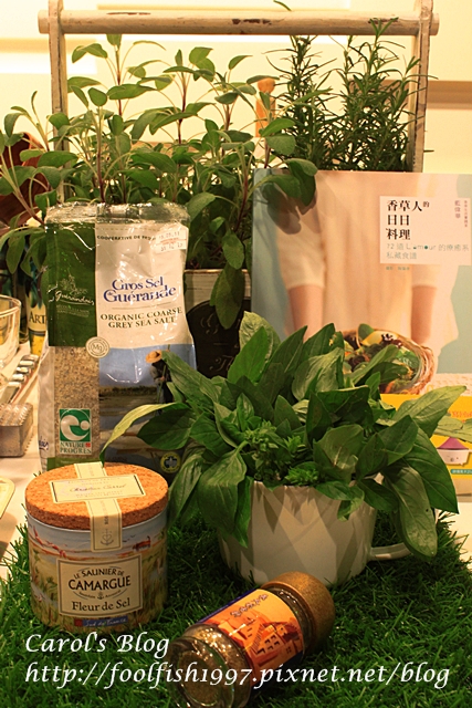 活動特派IMG_3299 活動特派IMG_3299