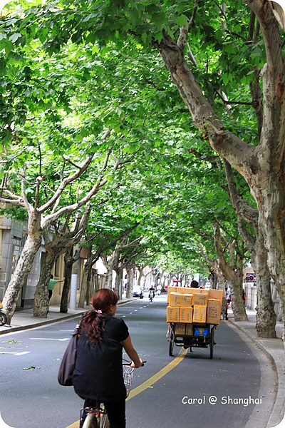 Blog 2010上海-思南路 04.JPG