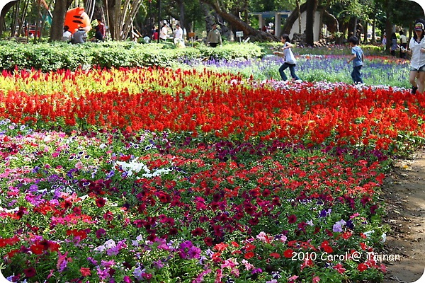 2010台南公園賞花季 01.JPG