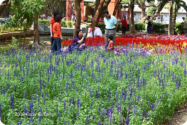 2010台南公園賞花季 04.JPG