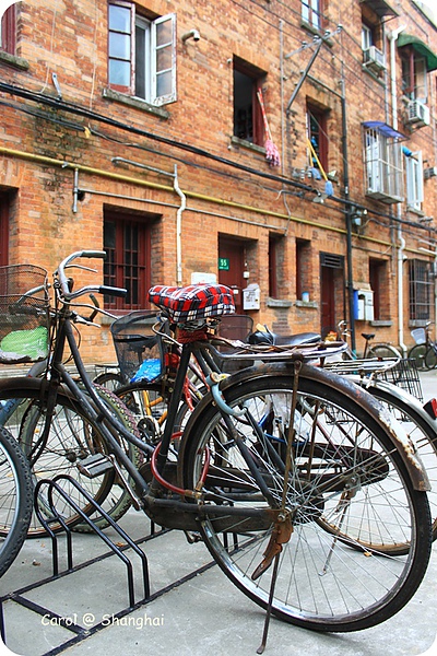 Blog 2010上海-思南路 25.JPG