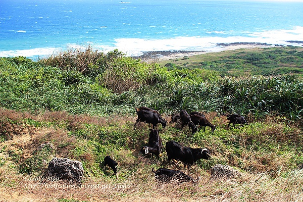 車城牡丹滿州遊 28.JPG