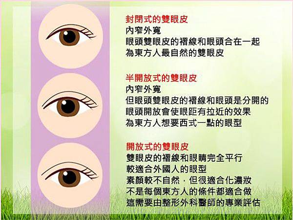 雙眼皮 雙眼皮