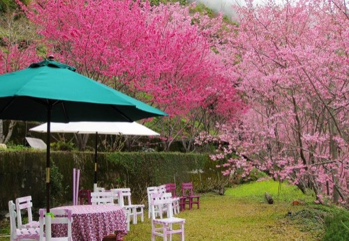 cd0d3caf2b97acf9ace3db77c0706cd8 cd0d3caf2b97acf9ace3db77c0706cd8