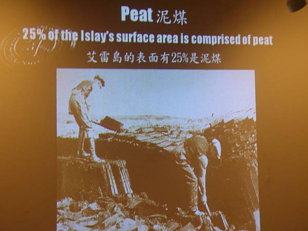 1010419 062 1010419 062