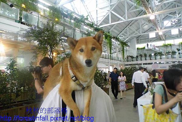 931420_525189450850714_1227371439_n(001) 931420_525189450850714_1227371439_n(001)