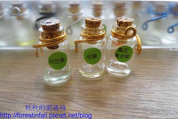 582029_525199180849741_1824262409_n(001) 582029_525199180849741_1824262409_n(001)