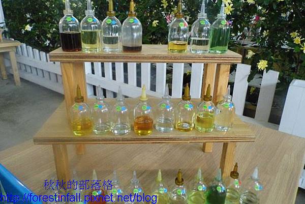 944438_525196867516639_1315308324_n(001) 944438_525196867516639_1315308324_n(001)